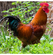 1df1fe347cf463fffe8818b6fe49595b.jpg 1df1fe347cf463fffe8818b6fe49595b.jpg